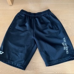 東月寒中学校　体操着　男子　短パンLサイズ