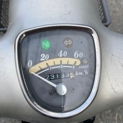 リトルカブの画像