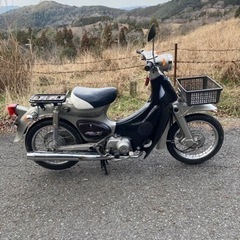 リトルカブの画像