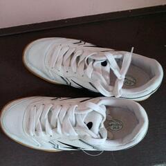 運動靴25センチの画像