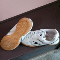 運動靴25センチの画像