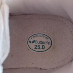 運動靴25センチの画像