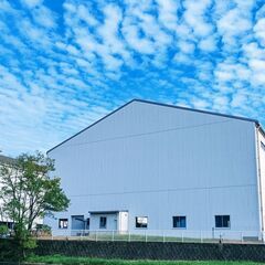 沖縄市登川　食品加工補助