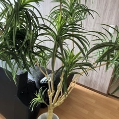 生活雑貨 家庭用品 ガーデニング