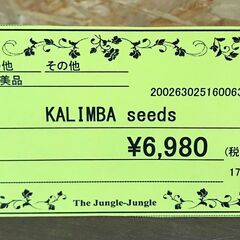 【397】カリンバ seeds 極美品の画像