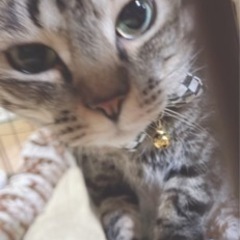 人好きのみかんちゃん 