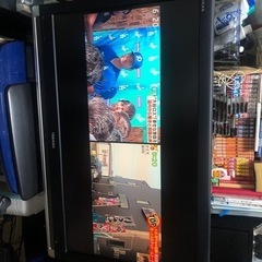 家電 テレビ 液晶テレビの画像