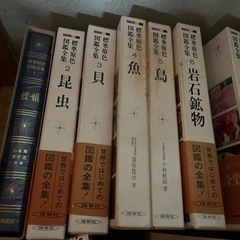 標準原色図鑑全集(全11巻) 昆虫図鑑の画像