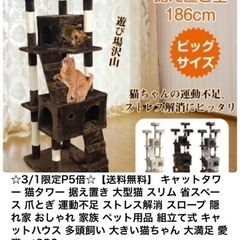 猫のキャットタワー(爪研いでので手前ボロボロです)と自動餌給付機