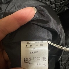 大きいサイズレディースダウンジャケットの画像
