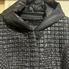 大きいサイズレディースダウンジャケットの画像