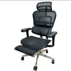 新品未使用エルゴヒューマンプロ2