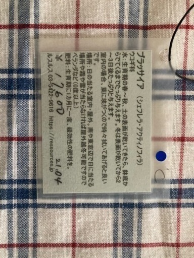 観葉植物4点セット