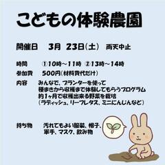 こどもの体験農園　プランター栽培