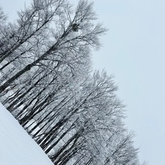 3月12日🏂