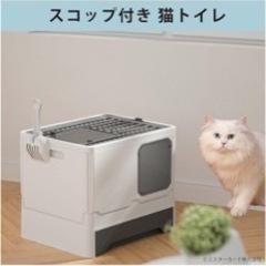 猫トイレの画像