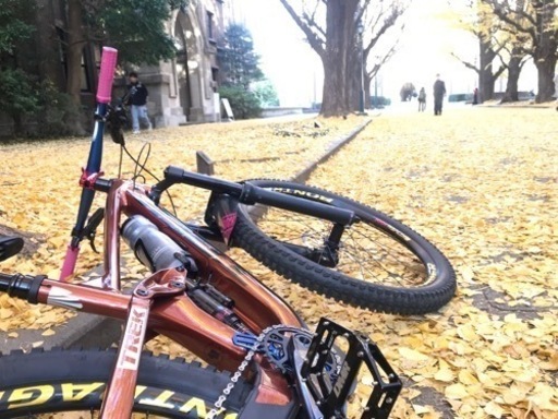 自転車 マウンテンバイク