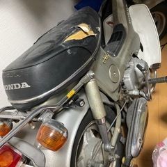 シャリィ50の画像