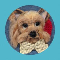 羊毛フェルト教室Atelier★犬犬の画像
