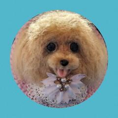 羊毛フェルト教室Atelier★犬犬の画像