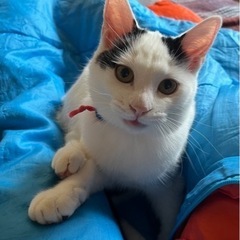 まろん
