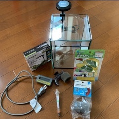 【引取限定】ベタ　熱帯魚　水槽　飼育セット　③