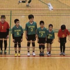 小学生バレーボールメンバー募集 - 川崎市