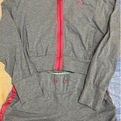  puma セットアップ の画像