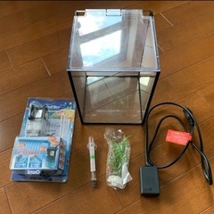 【引取限定】ベタ　熱帯魚　水槽　飼育セット　⑤