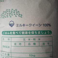 令和5年度産　ミルキークイーン 10キロ