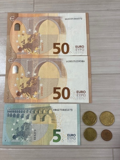 外国通貨(105ユーロと51セント)