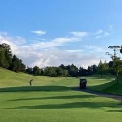 月、火曜日ゴルフ仲間募集⛳️（男性も女性も。土日の仲間も😄）