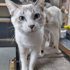 ★ビビリで人馴れ訓練中です★