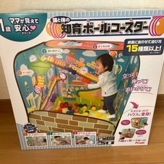 people 頭と体の知育ボールコースター