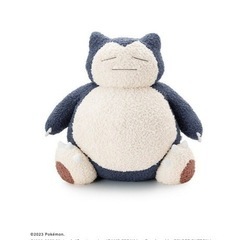 【新品未開封】ジェラピケ　ポケモンスリープ　ジェラートピケ　カビ...