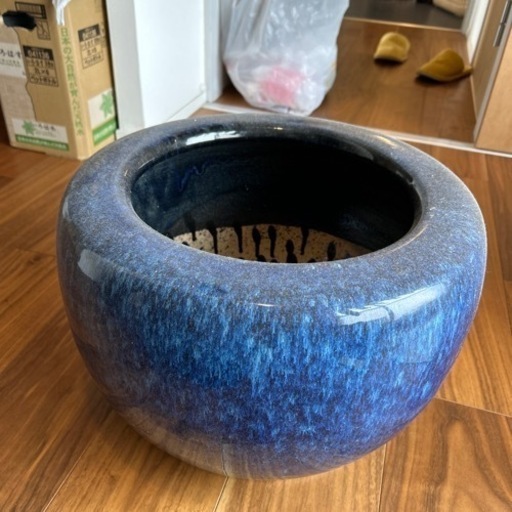睡蓮鉢