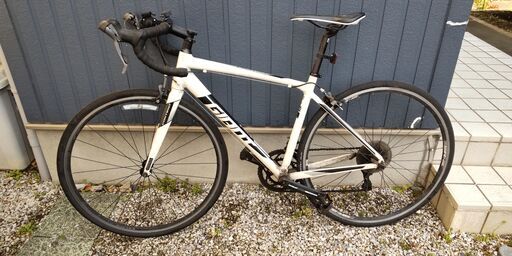 ジャイアント　CONTEND2　ホワイト