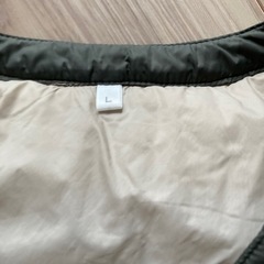 メンズ　ベスト　　Lの画像