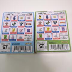 【新品】ポケモンキッズ ウミディグダ ハルクジラの画像