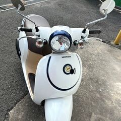 値下げしました！！☆HONDA Giorno☆ホンダ ジョルノ　美車です♪の画像