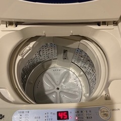 家電 生活家電 洗濯機