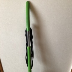 H2O ウルトラスチームマスターX5の画像