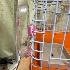 小動物ゲージセット(ハリネズミ)の画像
