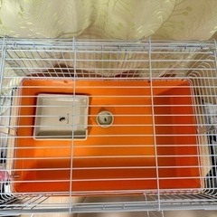 小動物ゲージセット(ハリネズミ)の画像