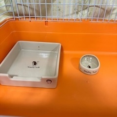 小動物ゲージセット(ハリネズミ)の画像
