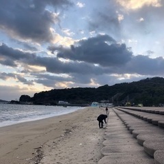 🧹第9回🧹3/16(土)7時ゆるく20分間🧹清掃　長垂海浜公園