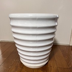観葉植物の鉢🪴取りに来て頂ける方