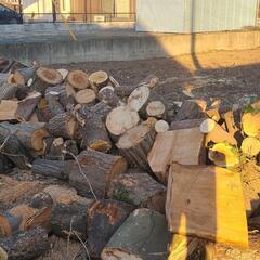 キャンプ用　薪（樫・ナラ他）20キロ　送料込み3,300円　③の画像