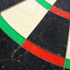 TARGET ダーツボード PRO TOUR サラウンド付き ターゲット プロツアー 札幌市 白石区 東札幌の画像