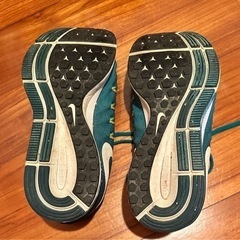 ナイキ エアズーム ペガサスの画像